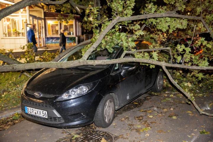 temporal xavier alemania